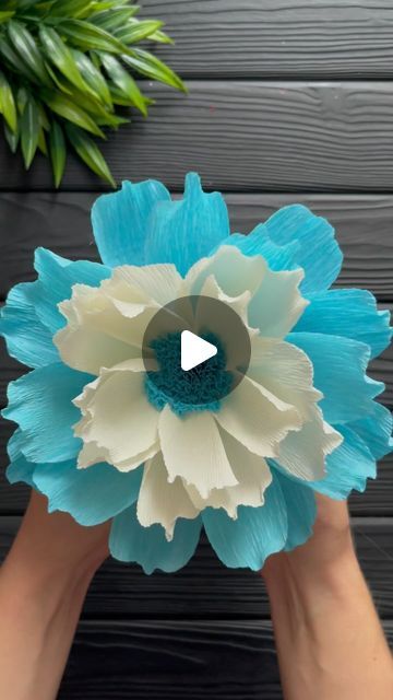 Paper Flower For Wedding Decoration, How To Make Flowers Out Of Crepe Paper Streamers, Decorating With Crepe Paper, Crepe Paper Decoration, Making Crepe Paper Flowers, Easy Crepe Paper Flowers Diy, Crape Paper Decoration, Crap Paper Flower, Diy Crepe Paper Flowers Tutorials