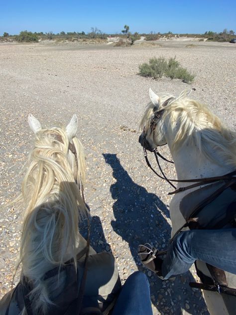 Camarguais. Horse. Camargue. Couple. Aesthetic. Beach. Picture idea. Instagram. Horse riding. Camargue Horse, France Aesthetic, Beach Picture, Sun Shine, Inspo Pics, Aesthetic Beach, Life Inspiration, South Of France, Couple Aesthetic