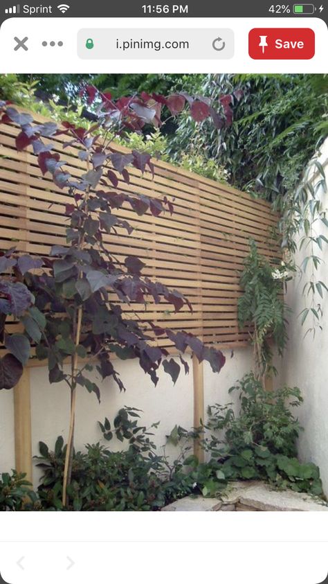 Slatted Fence, Garden Extension, Privacy Fence Landscaping, Slatted Fence Panels, Decorative Garden Fencing, Garden Wall Designs, Privacy Wall, Garden Fence Ideas, Garden Fence Panels