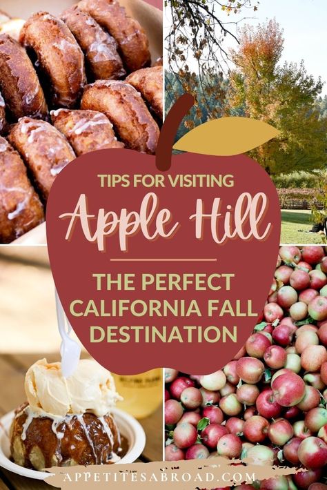 Apple Hill California, Cool Places In California, Fall In California, Oak Glen California, Placerville California, Julian California, Bbq Stand, California Fall, Lodi California