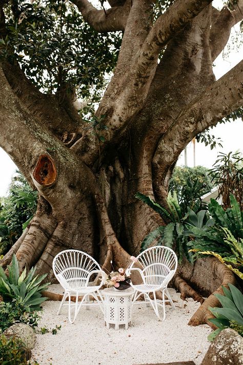 Fig Tree Restaurant, Wedding Lounge Area, Ceremony Styling, The Fig Tree, Tree Restaurant, Intimate Garden, Wedding Lounge, Outdoor Patio Space, Casa Exterior