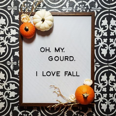 oh my gourd letter board Seasonal Quotes, Oh My Gourd, Season Quotes, Celebrate Good Times, Chalkboard Ideas, Board Quotes, I Love Fall, Marquee Lights, Heidi Swapp