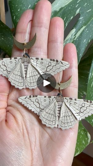 White Witch Moth, Witch Moth, White Witch, Friendly Reminder, Clay Ideas, Most Favorite, Moth, A Year, Amber