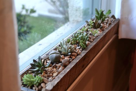 To hide my crappy kitchen window sill!                                                                                                                                                      More Succulent Windowsill, Kitchen Window Sill, Tanaman Indoor, Indoor Gardens, Garden Windows, Succulent Garden, Cactus Y Suculentas, Garden Care, Garden Boxes