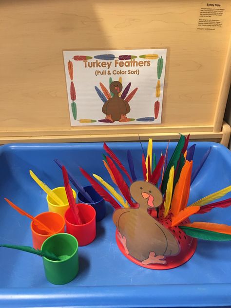 Thanksgiving Practical Life Montessori, Turkey Activity For Toddlers, Turkeys Preschool Activities, Thanksgiving Unit Preschool, Feed The Turkey Activity, Turkey Fine Motor Activities, 5 Senses Sensory Bin, Turkey Sensory Bin, Thanksgiving Fine Motor Activities