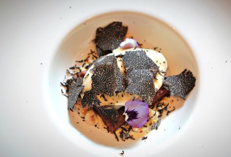 5 black truffle dishes to fall in love with this summer Black Truffles Recipe, Black Summer Truffle Recipes, Black Truffle Recipe Dishes, Truffle Dishes, Black Truffle Recipe, Truffle Dessert, Pickled Walnuts, Wine Ice Cream, Truffle Recipes