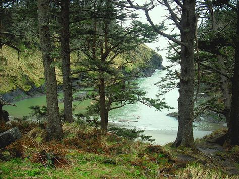 Dead Man's Cove/Cape Disappointment, Washington Vancouver Trip, Cape Disappointment, Pacific Coast Road Trip, Washington Vacation, Steel Bridge, Washington Hikes, Washington Travel, The Cove, Rose City