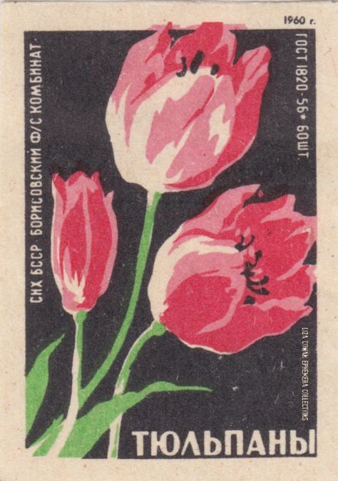 RUSSIAN botanical match box label. tulip LIZA COWAN EPHEMERS COLLECTIONS Match Box Design, Tulips Graphic, Tulip Poster, Tulip Illustration, Stamps Design, Match Design, Collage Mural, Posca Marker, Matchbook Art