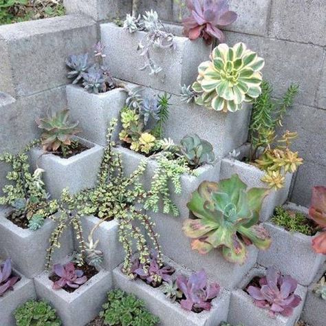 Cinder Block Garden, Cinder Blocks, Diy Raised Garden, Gardening Trends, Raised Garden Beds Diy, Outdoor Crafts, Vertical Gardens, Cinder Block, Landscape Projects