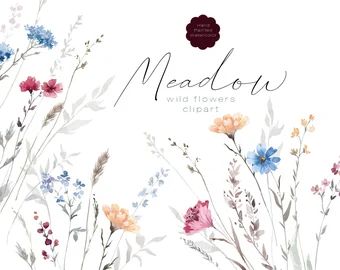 Watercolor Meadow, Flower Bouquet Png, Shade Flowers, Watercolor Fruit, Flowers Clipart, Summer Png, Floral Clipart, Wildflower Bouquet, Meadow Flowers