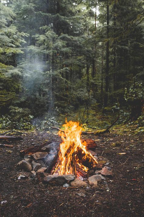 Mount Rainier National Park Campfires Photography, Mount Rainier National Park, Rainier National Park, Cabin Life, Camping Life, Cabins In The Woods, Image Hd, Bushcraft, Campfire