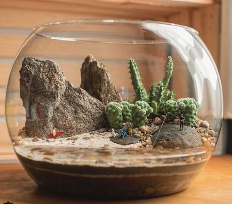 Closed Terrarium Plants, Mini Cactus Garden, Unique Terrarium, Kaktus Dan Sukulen, Fairy Garden Pots, Cactus Terrarium, Succulent Planter Diy, Succulent Garden Indoor, Beautiful Terrariums