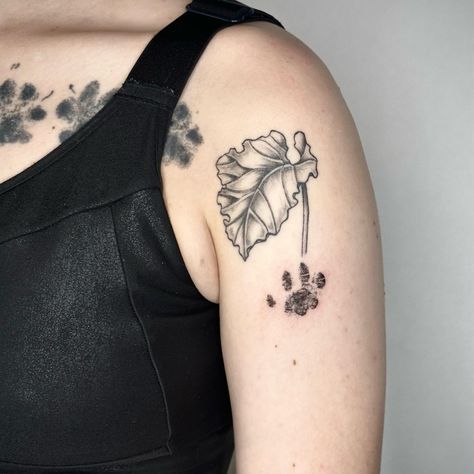 Rhubarb leaf & Rhubarb the cat’s paw print 🥹🌿🐾 I’d love to do more pet tattoos! Currently booking for April, couple of spots remaining in March ✨ DM me @roses.in.gloom to book . . . . . . . . . . . . . . . . . . . . #nyctattooartist #newyork #nyctattoo #pettattoo #pawprinttattoo #finelinetattoo #pointillismtattoo #pawprint #pettattoo #cattattoo #ladytattooers #brooklyntattoo #brooklyntattooartist #nicetattoo #finelinetattoo #animallover #catlovers #catprint #fineline Pointillism Tattoo, Pet Tattoos, Brooklyn Tattoo, Nyc Tattoo, Fine Line Tattoos, Animal Tattoos, Cat Tattoo, Rhubarb, Cat Print