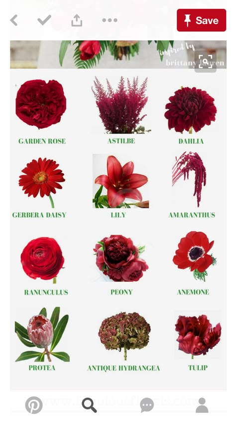 Wedding Flower Types, Flower Chart, Flower Types, Flower Identification, Different Types Of Flowers, Flower Guide, Flower Meanings, Flower Arrangements Simple, Flower Names