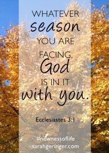 I’ve just written a book, Newness of Life, all about life’s seasons, and trusting in God’s timing.The season in which I find myself is the season of planting. #newnessoflife #trustingGod #trustGod #trustinGod Gods Wisdom, Trusting In God, Godly Wisdom, Christian Meditation, Prayer Journals, Celebrate Recovery, Profound Quotes, Garden Calendar, Faith Encouragement