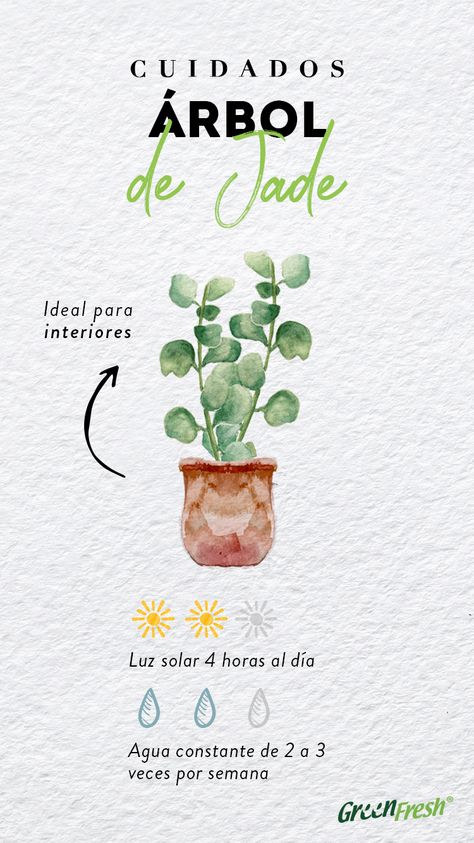 Vertical Garden Plants, Goth Garden, Inside Plants, Growing Plants Indoors, Succulent Gardening, Veg Garden, Green Life, Plant Mom, All About Plants