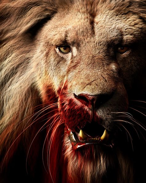 https://www.artstation.com/artwork/OoGxZv King Video, Angry Lion, Old Lion, Old Warrior, Angry Animals, Lion Tattoo Sleeves, Lion Quotes, Lion Head Tattoos, Lion Photography