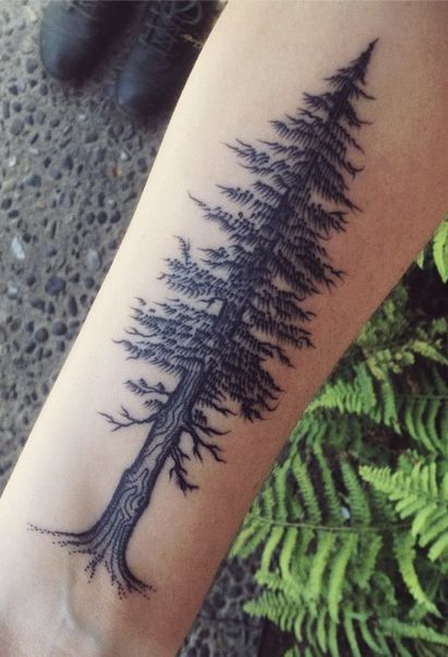 Tree                                                                                                                                                                                 More Big Pine Tree Tattoo, Redwood Tree Tattoos, Woods Tattoos For Men, Redwood Tree Art, Sequoia Tree Tattoo, Chimera Tattoo, Redwood Tree Tattoo, Tree Tattoo Side, Redwood Tattoo