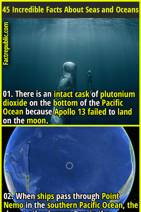 01. There is an intact cask of plutonium dioxide on the bottom of the Pacific Ocean because Apollo 13 failed to land on the moon. #seas #ocean #nature #science #knowledge #education Fun Science Facts, Ocean Facts, Nature Facts, Science Facts Mind Blown, Fun Facts Mind Blown, Science Trivia, Science Knowledge, Fact Republic, Science Fact