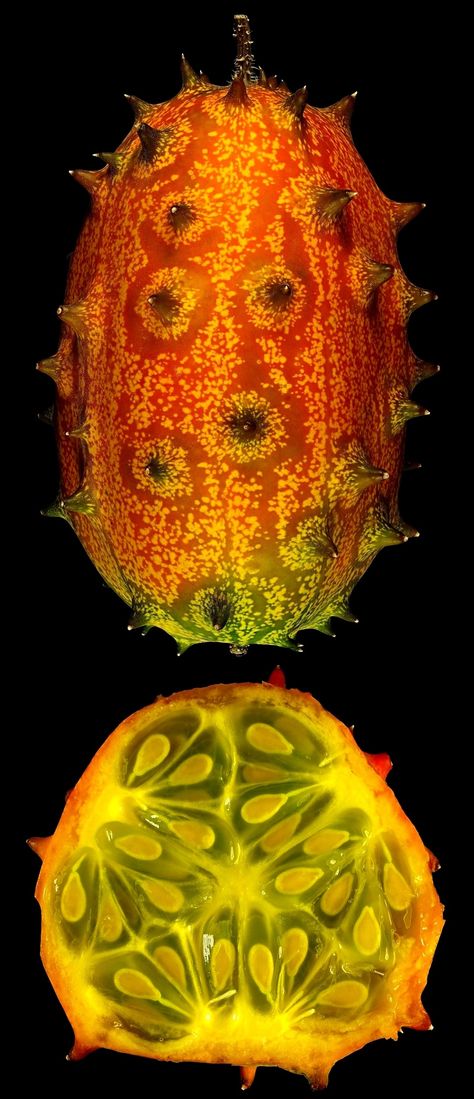 African Fruits And Vegetables, Crazy Reference, African Fruits, Interesting Fruits, Horned Melon, Sketching Reference, Weird Fruit, Melon Fruit, Higher Art