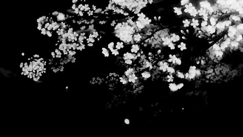 Dark Gif, Black And White Gif, Monochrome Aesthetic, Gif Background, Black Banner, Animated Banners, Aesthetic Shop, Flowers Gif, Dark Flowers