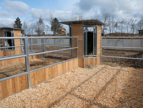 Hay depot for round bales - Hau Pferdesport Horse Farm Ideas, Horse Paddock, Barn Hacks, Diy Horse Barn, Horse Barn Ideas Stables, Barn Stalls, Paddock Paradise, Horse Barn Designs, Horse Shelter