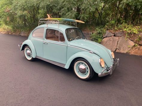 1966 Volkswagen Beetle for sale near Annandale, Minnesota 55302 - Classics on Autotrader 1966 Volkswagen Beetle, Vw Kombi Van, Beetle For Sale, Cargo Carrier, Car Dealers, Luggage Rack, Car Prices, Car Finance, Car Club