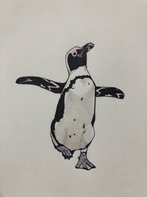 African Penguin Drawing, African Penguin Tattoo, Emperor Penguin Tattoo, Penguin Sketch, Penguin Images, Giraffe Costume, Penguin Tattoo, African Penguin, Intense Emotions