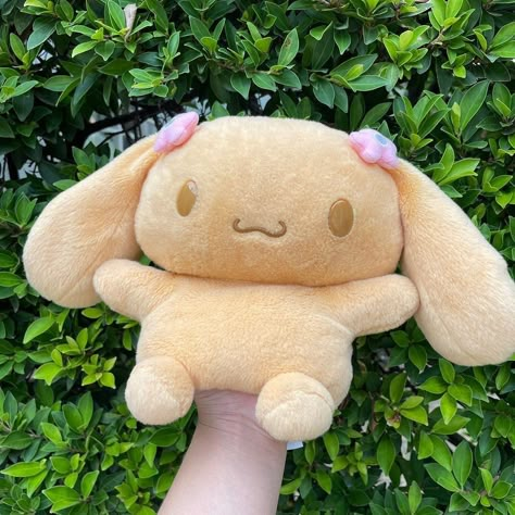 Mocha Plushie Sanrio, Dulce Core, Pink Lady Dior Bag, Dump Icon, Mocha Plush, Cinnamoroll Family, Pink Lady Dior, Sanrio Mocha, Totoro Plush