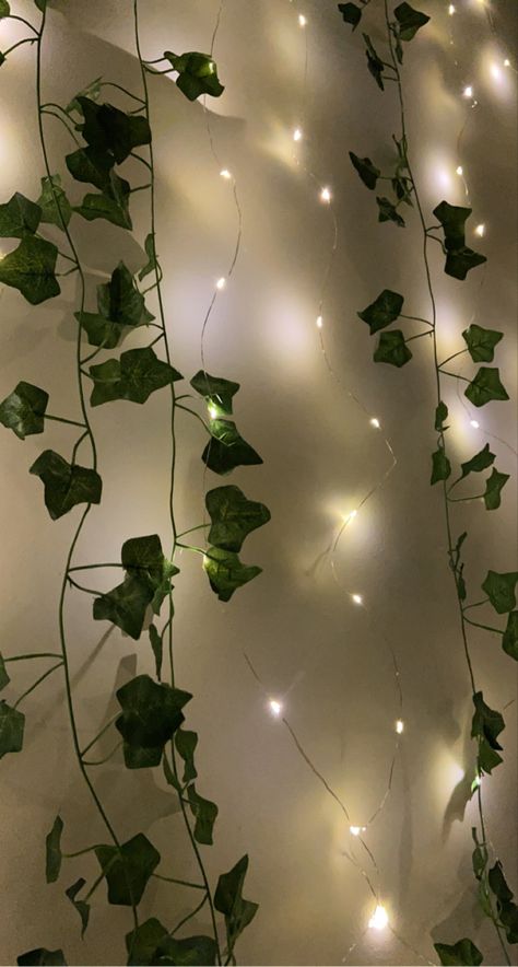 Hanging Plants Decor, Backgrand Instagram, Wall Hanging Plants, Ivy Plant Indoor, Cd Wall Art, Diwali Pictures, Birthday Lights, House Green, Victoria Secret Wallpaper