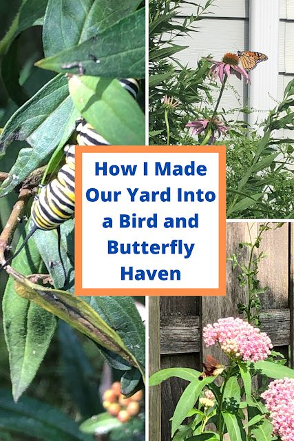 Butterfly Garden Plants, Plants That Attract Butterflies, Butterfly Garden Design, Attract Hummingbirds, Native Plant Gardening, Southern Garden, Butterfly Plants, Growing Veggies, Hummingbird Garden