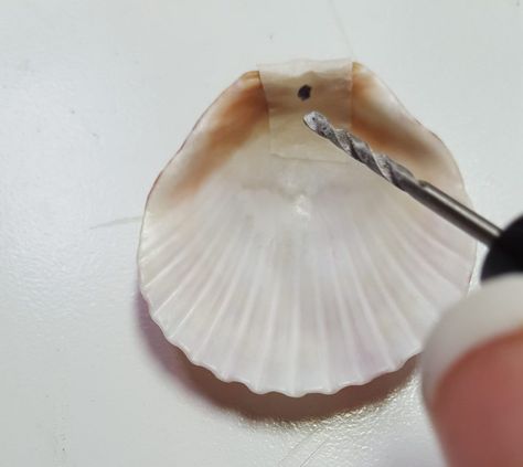 Diy Seashell Jewelry, Simple Craft Projects, Cleaning Sea Shells, Scallop Shell Craft, Easy Earrings, Seashell Wind Chimes, Shell Wind Chimes, Shell Game, Seashell Pendants