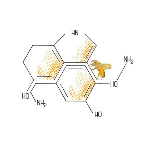 Check out this awesome 'Nectar+of+Life+%3A+Serotonin+and+Dopamine' design on @TeePublic! Serotonin Molecule Tattoo Bee, Seratonin Bee Tattoo, Dopamine And Serotonin Tattoo Ideas, Dopamine Tattoo, Dopamine Design, Serotonin Tattoo, Dopamine Serotonin, Chemistry Tattoo, Science Art Projects