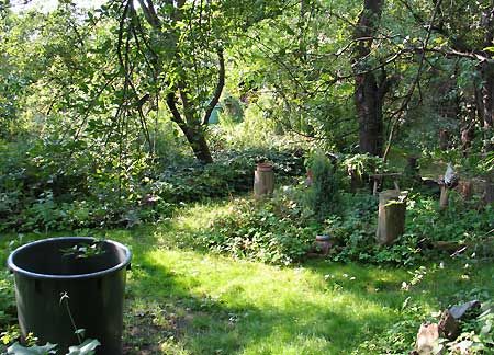 wilder Garten im August Wilderness Garden, Hippie Garden, Wildlife Gardening, Into The Wild, Permaculture, Cottage Garden, Garden Inspiration, The Wild, Cottage