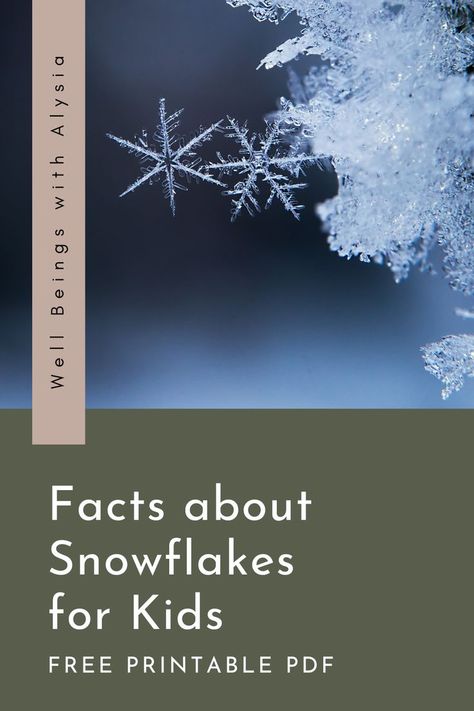 A close-up photograph of two snowflakes. The text reads facts about snowflakes for kids, free printable PDF. Winter Lesson Plans, Snow Facts, Snowflakes Science, Snowflakes For Kids, Love In Winter, Weather Lesson Plans, Simple Stem Activities, Winter Lesson Plan, December Lessons