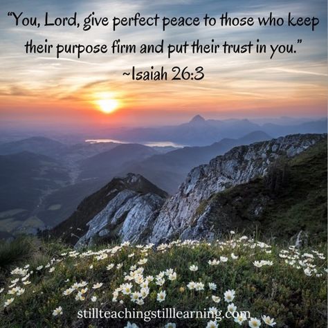 Trust in the Lord. Psalm 29 11, Psalm 29, Bible Quotes Images, Perfect Peace, Bride Of Christ, Dale Carnegie, King James Bible, Spiritual Guides, Favorite Bible Verses