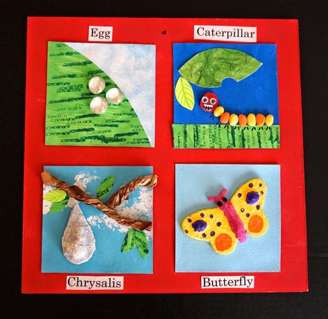 that artist woman: "Lifecycle of the Butterfly" Inchies Butterfly Classroom, Butterfly Life Cycle Craft, Butterflies Classroom, Cycle Art, Life Cycle Craft, Animal Life Cycles, Butterfly Project, Primary Science, Butterfly Life Cycle