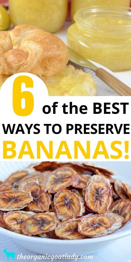 6 Ways to Preserve Bananas - The Organic Goat Lady Preserving Bananas How To, Banana Canning Recipes, How To Preserve Bananas, Preserving Bananas, Canning Bananas, Preserve Bananas, Baked Banana Chips, Homemade Banana Chips, Banana Baby Food