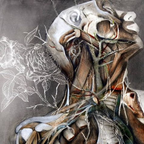 Artist Merges Humans, Flora And Fauna In His Marvelous Anatomical Illustrations Nunzio Paci, Ako Kresliť, Decay Art, Groove Metal, Human Figure Drawing, Human Anatomy Art, Medical Art, Anatomy Drawing, Medical Illustration