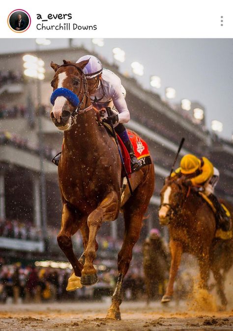 Justify wins the Kentucky Derby 2018 Kentucky Derby Horses, Derby Horse, Clydesdale Horses, Thoroughbred Horse Racing, Thoroughbred Horse, Breyer Horses, Big Boss, Triple Crown, Horse Saddles