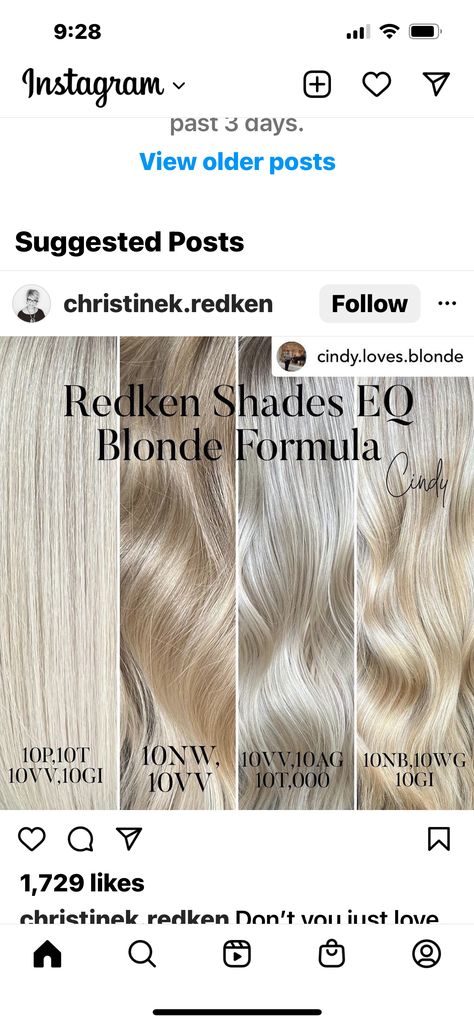 Vanilla Blonde Shades Eq Formulas, Redken Blonde Toner Formula, Redkin Eq Shades Formulas Blonde, Warm Blonde Shades Eq Formula, Redkin Eq Shades Formulas, Blonding Specialist, Toner Shades, Redken Toner, Hair Toning