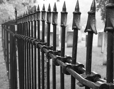 graveyard fence Graveyard Fence, 2d Game Art, Expressive Art, Graveyard, Railing, Game Art, Fence, Art Ideas, Photography