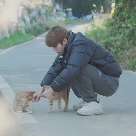 Minho's Cats, Stray Kids Minho, I Know You Know, Lee Know Stray Kids, Cat Boys, 웃긴 사진, Kids Icon, Homeless Children, Crazy Kids