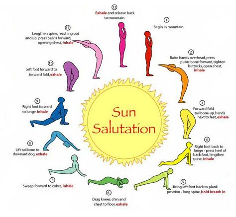 Surya Namaskara, Yoga Ashtanga, Ashtanga Vinyasa Yoga, Morning Yoga Routine, Surya Namaskar, Yoga Beginners, Sup Yoga, Beginner Yoga, Yoga Iyengar