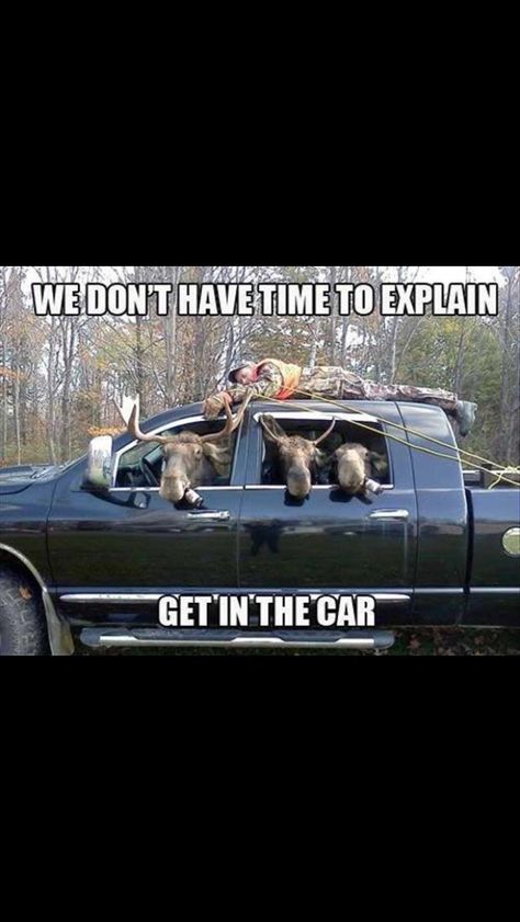 deer hunting season Funny Hunting Pics, Deer Hunting Humor, Hunting Jokes, Funny Deer, Hunting Humor, Archery Hunting, Funny Animal Jokes, Hunting Season, Funny Animal Memes