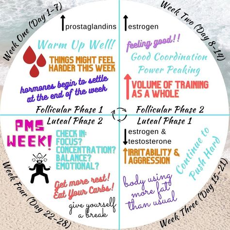 Your 28 Day Cycle Broken Down... bookmark this, track your cycle, and see if how you feel and perform aligns with each week! 👉Did you know that after the first few days of bleeding to day 14/15 of your cycle (referred to as the follicular or “low hormone” phase) your power production is up, your tolerance to pain is higher, and you use carbs more efficiently? 👉Did you know that during days 15 to days 28/30 (luteal or “high hormone” phase) you’re more efficient at using fat as fuel, your mor... Tracking Cycle, 28 Day Cycle, Track Your Cycle, Insulin Resistant, Follicular Phase, Cycle Syncing, Cycling Workout, 28 Days, To Day