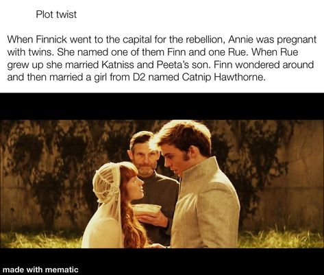 Hunger Games Plot Twist, Hunger Games Jokes, Divergent Hunger Games, Hunger Games Memes, Hunger Games Quotes, Hunger Games Movies, Heavy Breathing, I Volunteer As Tribute, Hunger Games Fandom