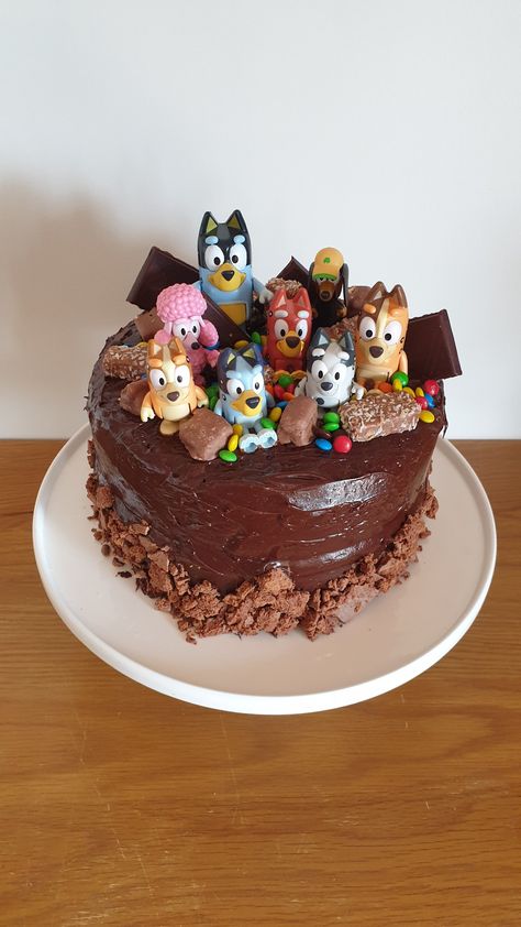 Chocolate Bluey Cake, Easy Bluey Birthday Cake, Diy Bluey Cake, Diy Bluey, Bluey Characters, Bluey Party, Harry Birthday, Nana Birthday, Bluey Birthday