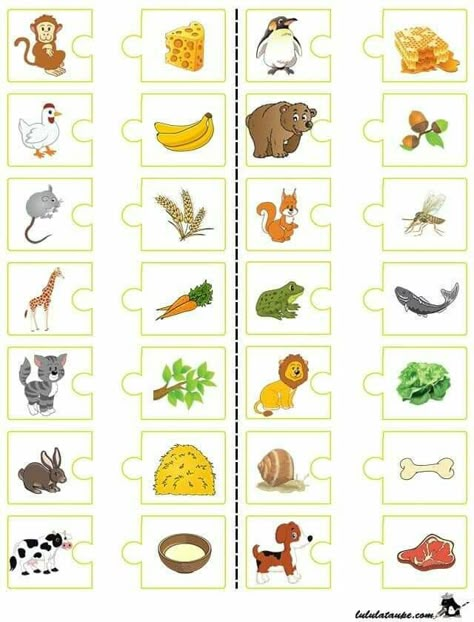 Animal Games For Kids, What Animals Eat, Language Activities Preschool, Puzzle Activity, Kids Worksheets Preschool, Skirt Diy, Preschool Activity, Kids Learning Activities, Toddler Learning Activities