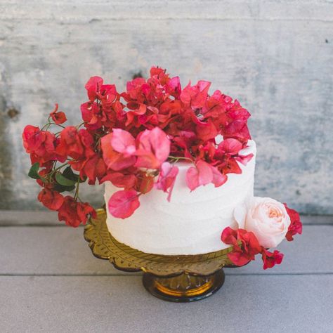 Bougainvillea cake topper | Fuchsia and magenta wedding inspiration Wedding Eclectic, Bougainvillea Wedding, Coastal Wedding Inspiration, Magenta Wedding, Bohemian Beach Wedding, Fiji Wedding, Wedding Cake Photos, Spanish Wedding, Wedding Colour